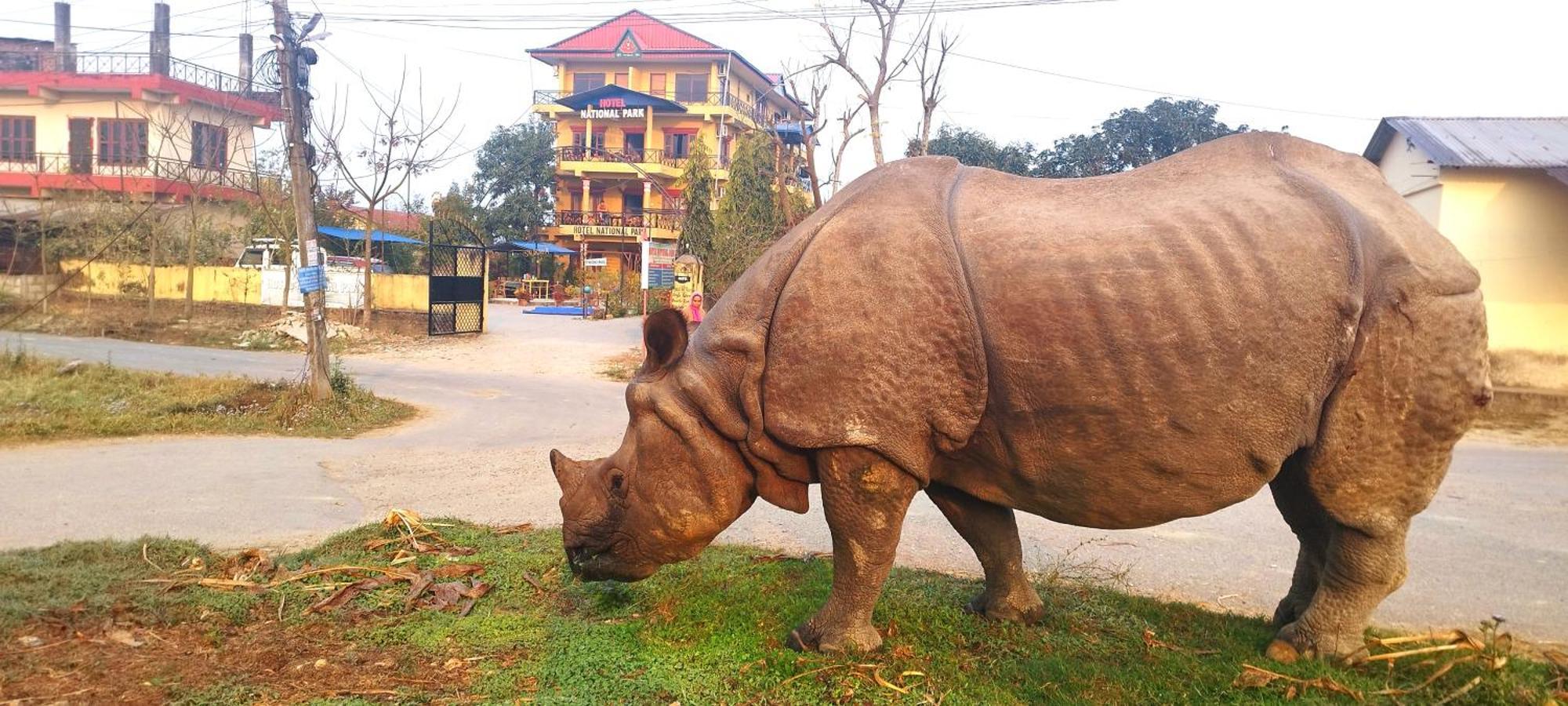 Hotel National Park- A Peaceful Family Home Where You Can Stay Peace And Enjoy And Organize The Wildlife Safari Chitwan Exterior foto