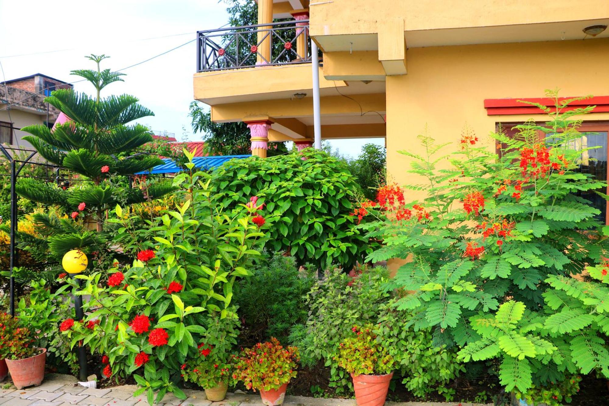 Hotel National Park- A Peaceful Family Home Where You Can Stay Peace And Enjoy And Organize The Wildlife Safari Chitwan Exterior foto